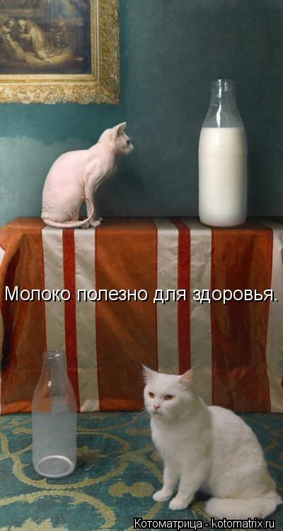Молоко полезно для здоровья.... Котоматрица: Молоко полезно для здоровья.