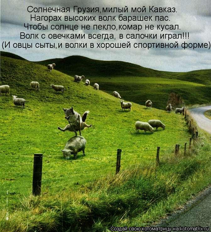 Солнечная Грузия,милый мой Кавказ. Нагорах высоких волк барашек пас. Чтобы солнце не пекло,комар не к... Котоматрица: Солнечная Грузия,милый мой Кавказ. Нагорах высоких волк барашек пас. Чтобы солнце не пекло,комар не кусал. Волк с овечками всегда, в салочки