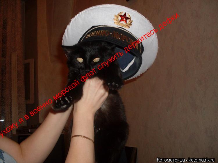 ухожу я в военно морской флот служить держитесь дефки... Котоматрица: ухожу я в военно морской флот служить держитесь дефки