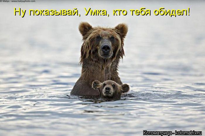 Котоматрица: Ну показывай, Умка, кто тебя обидел!