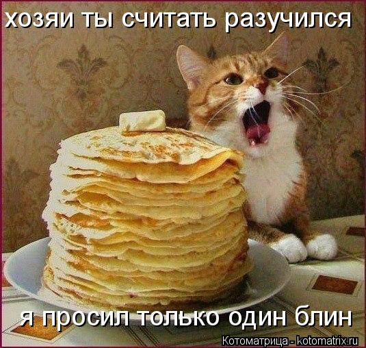 хозяи ты считать разучился я просил только один блин... Котоматрица: хозяи ты считать разучился я просил только один блин