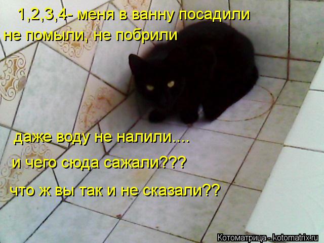 1,2,3,4- меня в ванну посадили не помыли, не побрили даже воду не налили.... и чего сюда сажали??? чт... Котоматрица: 1,2,3,4- меня в ванну посадили не помыли, не побрили даже воду не налили.... и чего сюда сажали??? что ж вы так и не сказали??