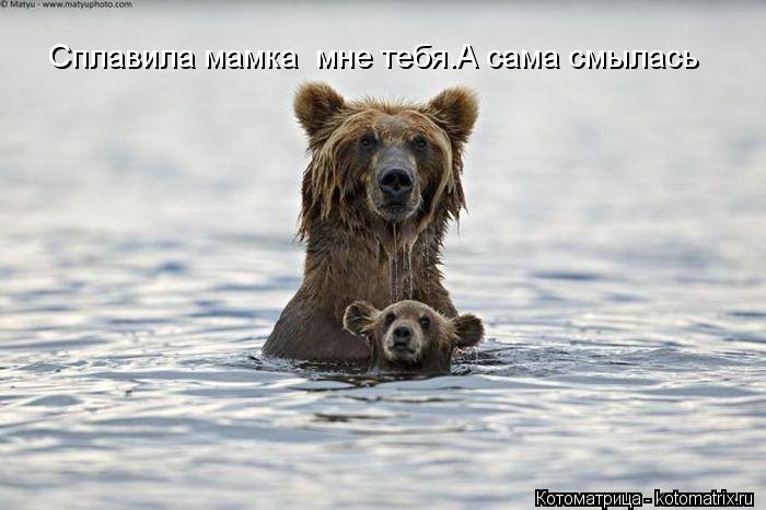 Сплавила мамка мне тебя.А сама смылась... Котоматрица: Сплавила мамка мне тебя.А сама смылась