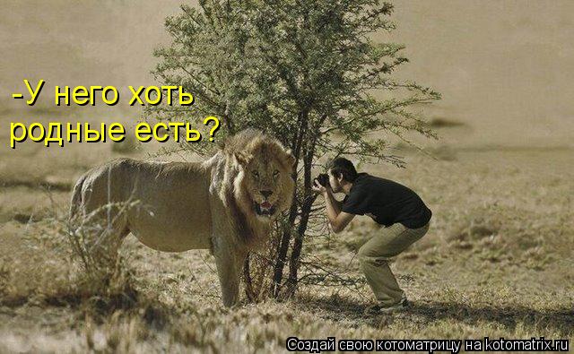 -У него хоть родные есть?... Котоматрица: -У него хоть родные есть?