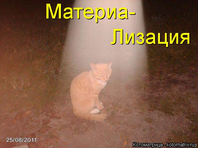Материа- Лизация... Котоматрица: Материа- Лизация