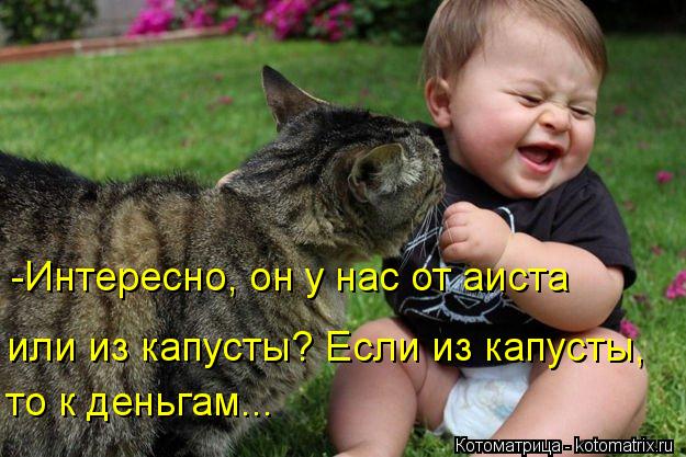 -Интересно, он у нас от аиста или из капусты? Если из капусты, то к деньгам...... Котоматрица: -Интересно, он у нас от аиста или из капусты? Если из капусты, то к деньгам...