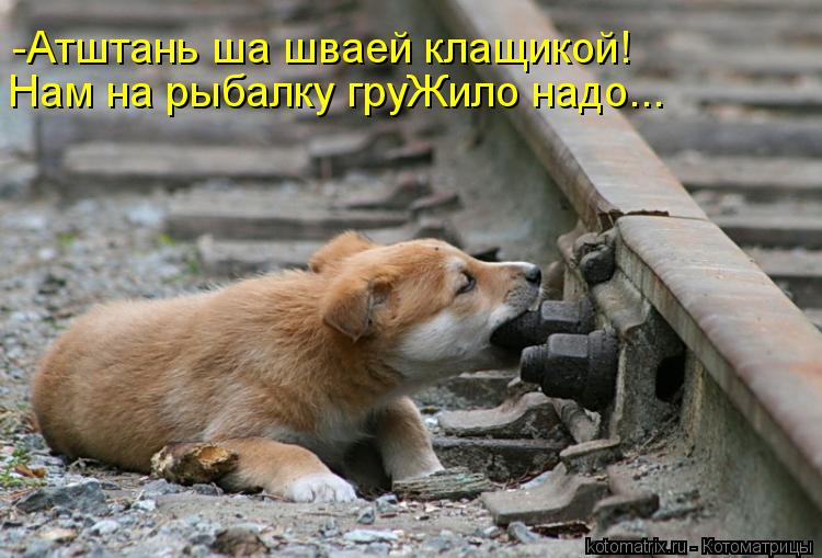 -Атштань ша шваей клащикой! Нам на рыбалку груЖило надо...... Котоматрица: -Атштань ша шваей клащикой! Нам на рыбалку груЖило надо...