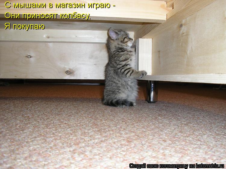 С мышами в магазин играю - Они приносят колбасу, Я покупаю... Котоматрица: С мышами в магазин играю - Они приносят колбасу, Я покупаю