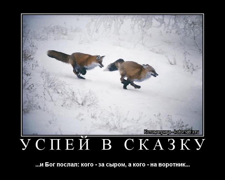 УСПЕЙ В СКАЗКУ ...и Бог послал: кого - за сыром, а кого - на воротник...... Котоматрица: УСПЕЙ В СКАЗКУ ...и Бог послал: кого - за сыром, а кого - на воротник...