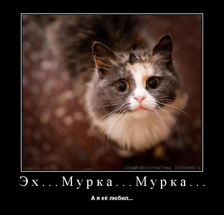 Эх...Мурка...Мурка... А я её любил...... Котоматрица: Эх...Мурка...Мурка... А я её любил...