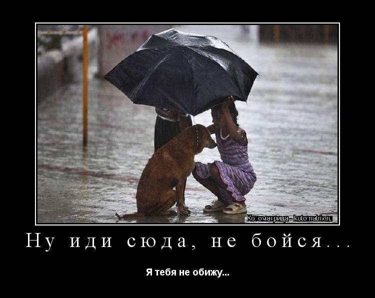 Котоматрица: Ну иди сюда, не бойся... Я тебя не обижу...