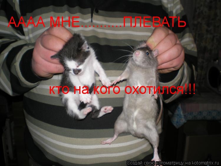 АААА МНЕ...........ПЛЕВАТЬ кто на кого охотился!!!... Котоматрица: АААА МНЕ...........ПЛЕВАТЬ кто на кого охотился!!!