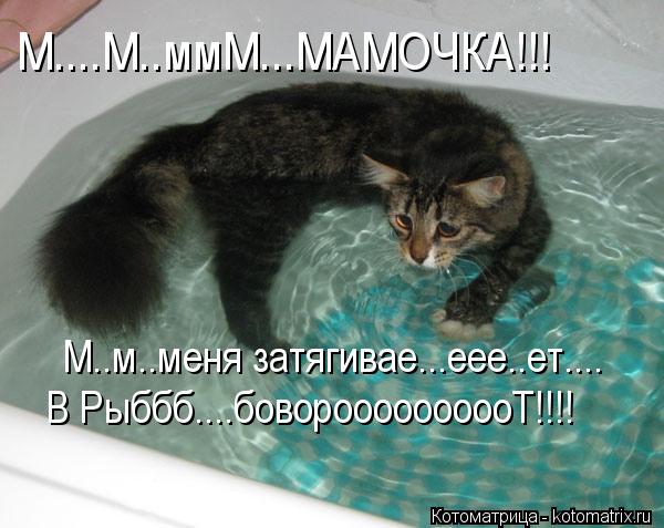 М....М..ммМ...МАМОЧКА!!! М..м..меня затягивае...еее..ет.... В Рыббб....бовороооооооооТ!!!!... Котоматрица: М....М..ммМ...МАМОЧКА!!! М..м..меня затягивае...еее..ет.... В Рыббб....бовороооооооооТ!!!!