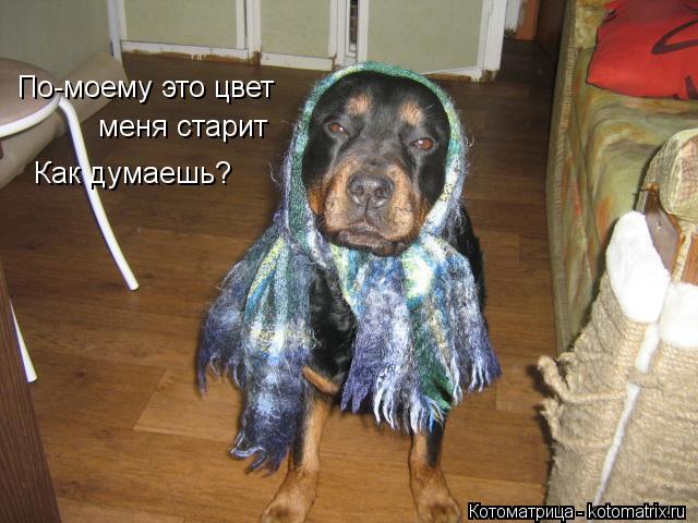 Котоматрица: По-моему это цвет меня старит Как думаешь?
