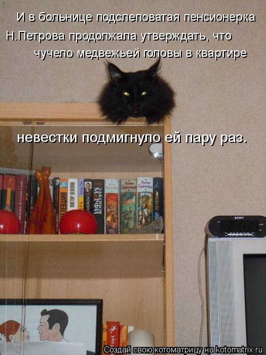 И в больнице подслеповатая пенсионерка Н.Петрова продолжала утверждать, что чучело медвежьей головы в... Котоматрица: И в больнице подслеповатая пенсионерка Н.Петрова продолжала утверждать, что чучело медвежьей головы в квартире невестки подмигнуло ей па