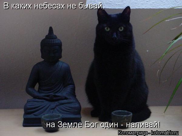 Котоматрица: В каких небесах не бывай, на Земле Бог один - наливай!