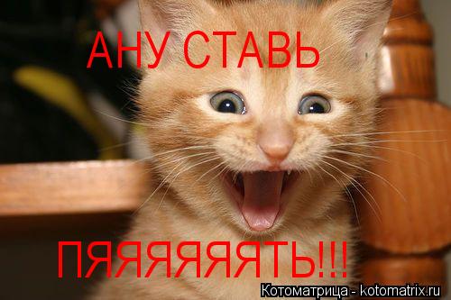 Котоматрица: АНУ СТАВЬ ПЯЯЯЯЯЯТЬ!!!