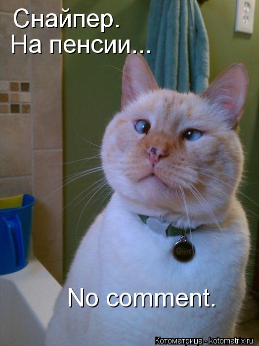 Снайпер. На пенсии... No comment.... Котоматрица: Снайпер. На пенсии... No comment.