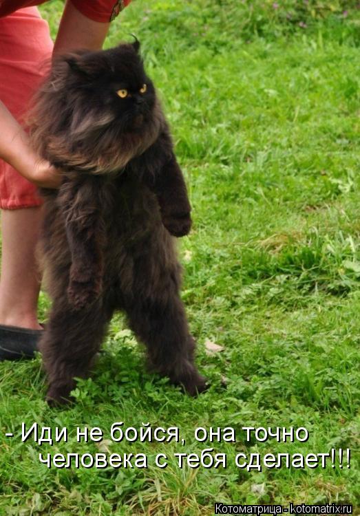 - Иди не бойся, она точно человека с тебя сделает!!!... Котоматрица: - Иди не бойся, она точно человека с тебя сделает!!!