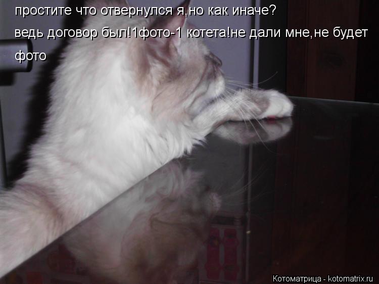 Котоматрица: простите что отвернулся я,но как иначе? ведь договор был!1фото-1 котета!не дали мне,не будет  фото