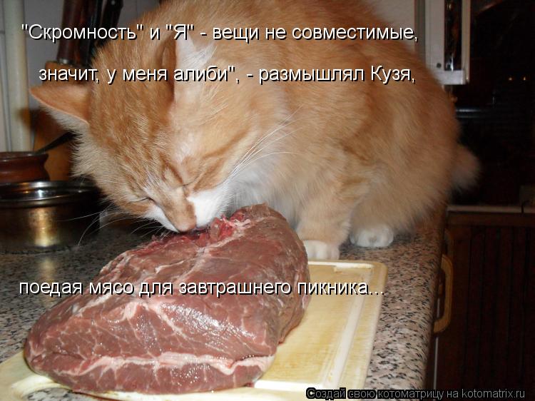 "Скромность" и "Я" - вещи не совместимые, значит, у меня алиби", - размышлял Кузя, поедая мясо для ... Котоматрица: "Скромность" и "Я" - вещи не совместимые, значит, у меня алиби", - размышлял Кузя, поедая мясо для завтрашнего пикника...