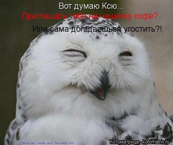 Вот думаю Ксю... Приглашать тебя на чашечку кофе? Или сама догадаешься угостить?!... Котоматрица: Вот думаю Ксю... Приглашать тебя на чашечку кофе? Или сама догадаешься угостить?!
