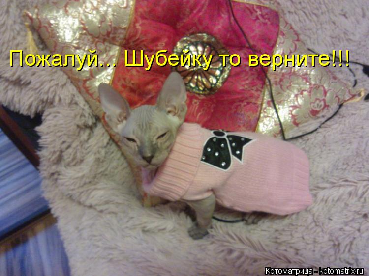 Пожалуй... Шубейку то верните!!!... Котоматрица: Пожалуй... Шубейку то верните!!!
