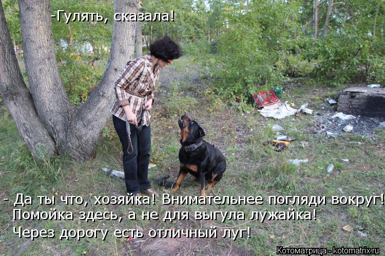 Котоматрица: -Гулять, сказала! - Да ты что, хозяйка! Внимательнее погляди вокруг! Помойка здесь, а не для выгула лужайка! Через дорогу есть отличный луг!