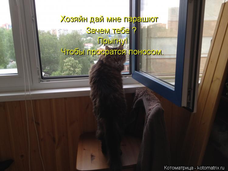 Хозяйн дай мне парашют Зачем тебе ? Зачем тебе ? Прыгну! Чтобы просратся поносом.... Котоматрица: Хозяйн дай мне парашют Зачем тебе ? Зачем тебе ? Прыгну! Чтобы просратся поносом.