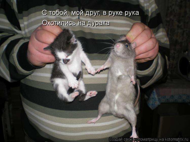 С тобой, мой друг, в руке рука Охотились на дурака... Котоматрица: С тобой, мой друг, в руке рука Охотились на дурака