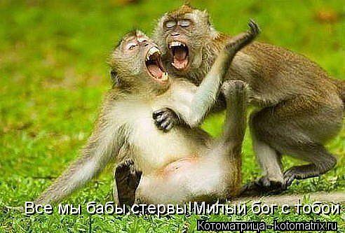 Все мы бабы стервы!Милый бог с тобой... Котоматрица: Все мы бабы стервы!Милый бог с тобой