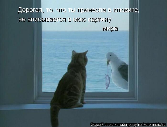 Котоматрица: Дорогая, то, что ты принесла в клювике, не вписывается в мою картину мира