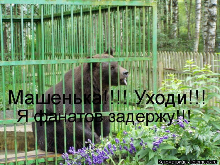 Машенька!!!! Уходи!!! Я фанатов задержу!!!... Котоматрица: Машенька!!!! Уходи!!! Я фанатов задержу!!!