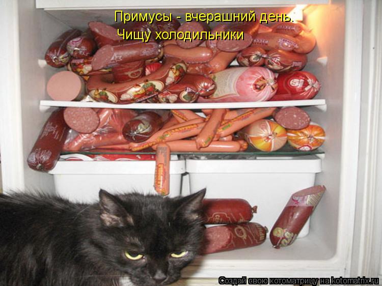 Котоматрица: Чищу холодильники Примусы - вчерашний день.