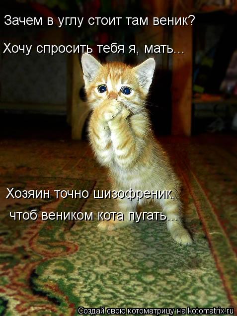 Зачем в углу стоит там веник? Хочу спросить тебя я, мать... Хозяин точно шизофреник, чтоб веником к... Котоматрица: Зачем в углу стоит там веник? Хочу спросить тебя я, мать... Хозяин точно шизофреник, чтоб веником кота пугать...