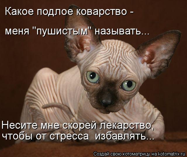 http://kotomatrix.ru/images/lolz/2013/06/21/kotomatritsa__.jpg