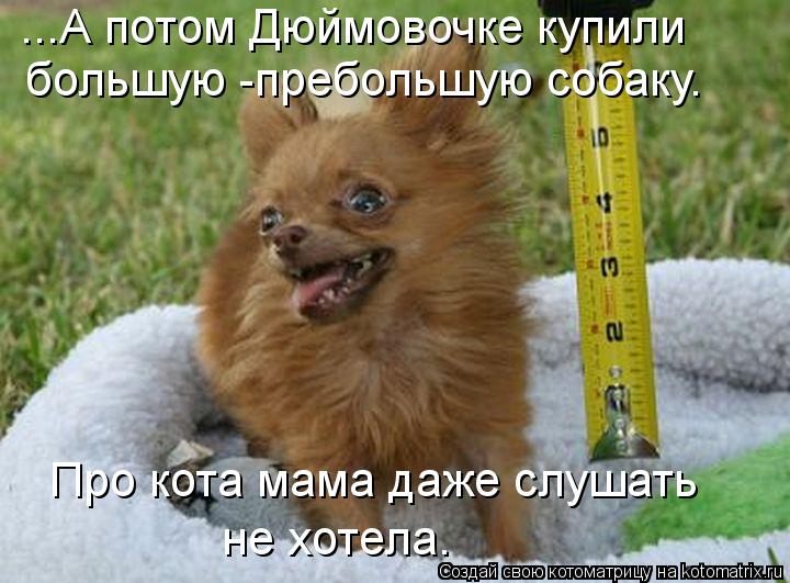 ...А потом Дюймовочке купили большую -пребольшую собаку. Про кота мама даже слушать не хотела.... Котоматрица: ...А потом Дюймовочке купили большую -пребольшую собаку. Про кота мама даже слушать не хотела.