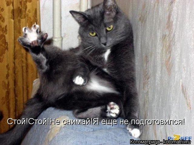 Стой!Стой!Не снимай!Я еще не подготовился!... Котоматрица: Стой!Стой!Не снимай!Я еще не подготовился!