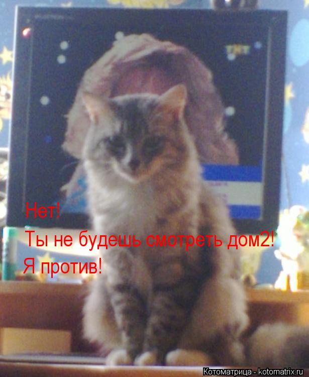 Нет! Ты не будешь смотреть дом2! Я против!... Котоматрица: Нет! Ты не будешь смотреть дом2! Я против!