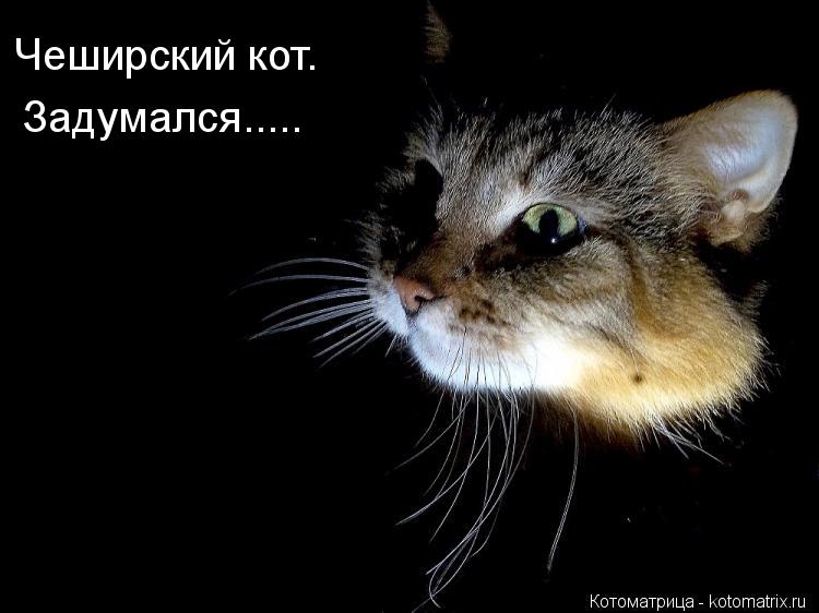 Чеширский кот. Задумался........ Котоматрица: Чеширский кот. Задумался.....
