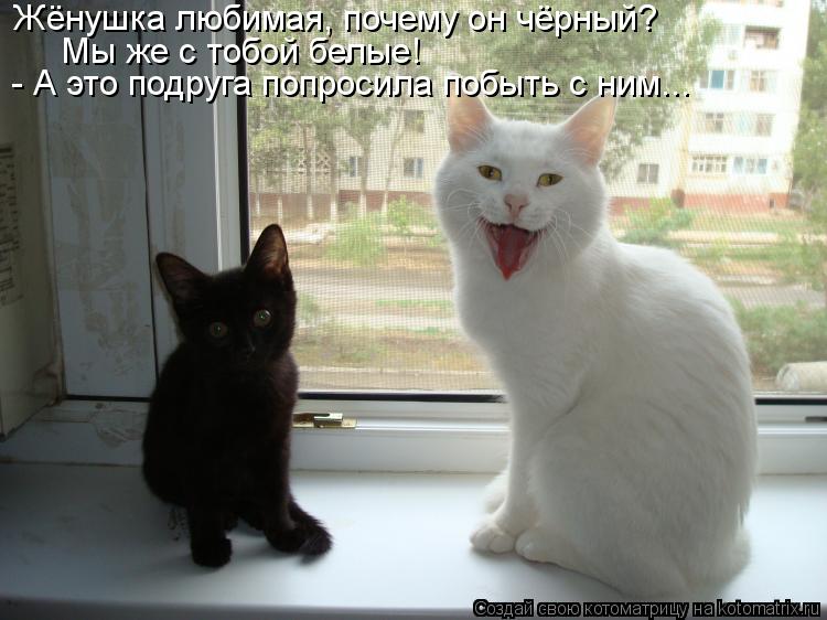 Жёнушка любимая, почему он чёрный? Мы же с тобой белые! - А это подруга попросила побыть с ним...... Котоматрица: Жёнушка любимая, почему он чёрный? Мы же с тобой белые! - А это подруга попросила побыть с ним...
