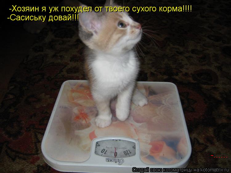 -Хозяин я уж похудел от твоего сухого корма!!!! -Сасиську довай!!! -......... Котоматрица: -Хозяин я уж похудел от твоего сухого корма!!!! -Сасиську довай!!! -......