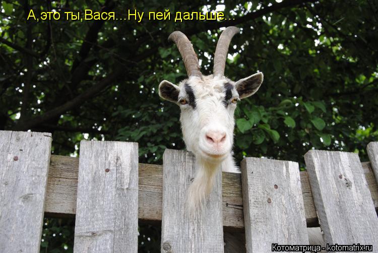 А,это ты,Вася...Ну пей дальше...... Котоматрица: А,это ты,Вася...Ну пей дальше...