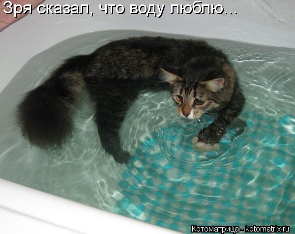 Зря сказал, что воду люблю...... Котоматрица: Зря сказал, что воду люблю...