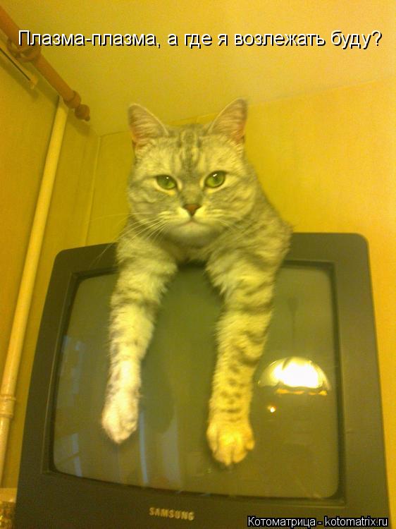 Котоматрица: Плазма-плазма, а где я возлежать буду?