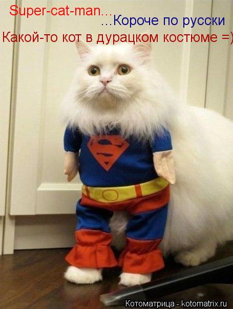 Super-cat-man... ...Короче по русски Какой-то кот в дурацком костюме =)... Котоматрица: Super-cat-man... ...Короче по русски Какой-то кот в дурацком костюме =)