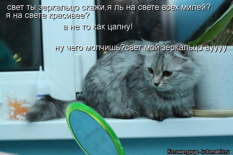 свет ты зеркальцо скажи,я ль на свете всех милей? я на свете красивее? а не то как цапну! ну чего мол... Котоматрица: свет ты зеркальцо скажи,я ль на свете всех милей? я на свете красивее? а не то как цапну! ну чего молчишь?свет мой зеркальцо ауууу