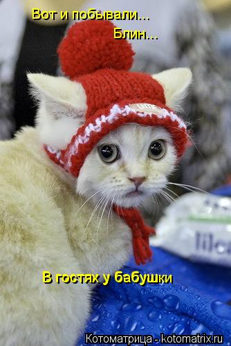 Вот и побывали... Блин... В гостях у бабуш В гостях у бабушки... Котоматрица: Вот и побывали... Блин... В гостях у бабуш В гостях у бабушки