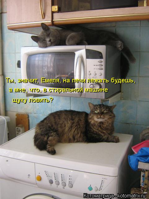 Ты, значит, Емеля, на печи лежать будешь, а мне, что, в стиральной машине щуку ловить?... Котоматрица: Ты, значит, Емеля, на печи лежать будешь, а мне, что, в стиральной машине щуку ловить?