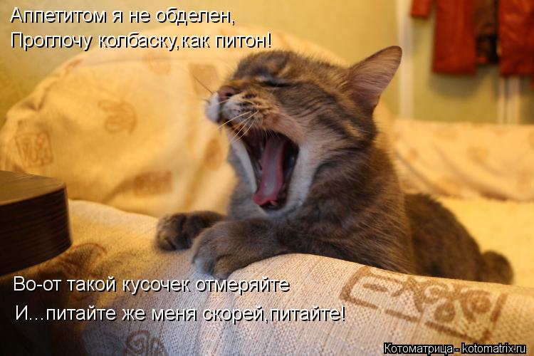 Аппетитом я не обделен, Проглочу колбаску,как питон! Во-от такой кусочек отмеряйте И...питайте же мен... Котоматрица: Аппетитом я не обделен, Проглочу колбаску,как питон! Во-от такой кусочек отмеряйте И...питайте же меня скорей,питайте!